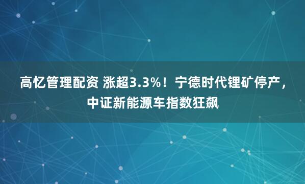 高忆管理配资 涨超3.3%！宁德时代锂矿停产，中证新能源车指数狂飙