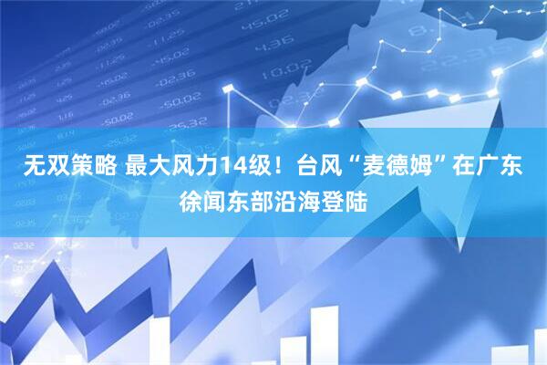无双策略 最大风力14级！台风“麦德姆”在广东徐闻东部沿海登陆